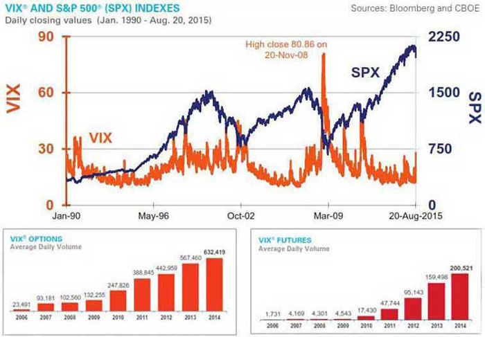 VIX and S&P 500